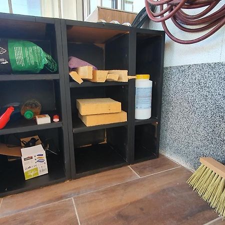4 Room Flat With Garden And Pool Kittsee Luaran gambar